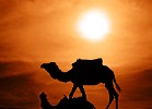 Morocco 2009